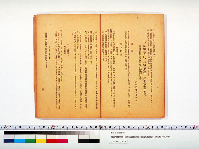 Measure and Report of the Japan Ronoto Party Headquarters, Presented at Its First National Convention (preview)