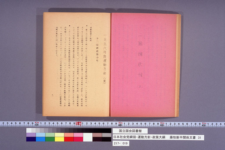 日本社会党綱領・運動方針・政策大綱 (標準画像)