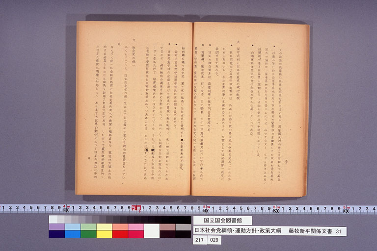 日本社会党綱領・運動方針・政策大綱 (標準画像)