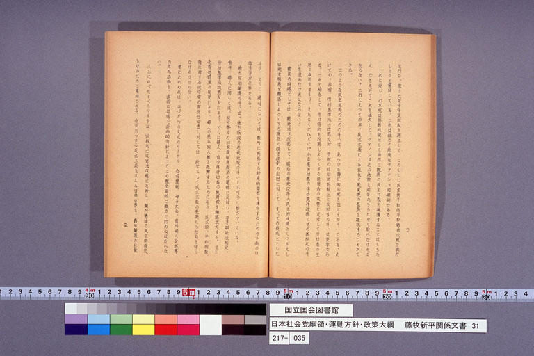 日本社会党綱領・運動方針・政策大綱 (標準画像)