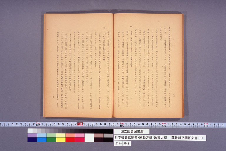 日本社会党綱領・運動方針・政策大綱 (標準画像)