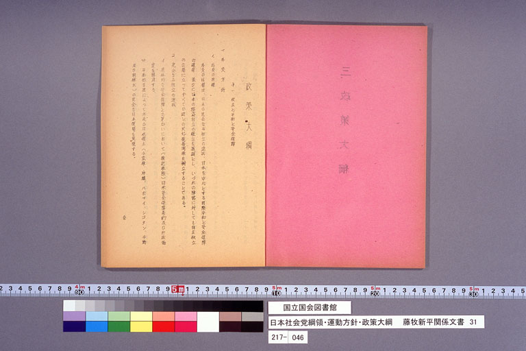 日本社会党綱領・運動方針・政策大綱 (標準画像)