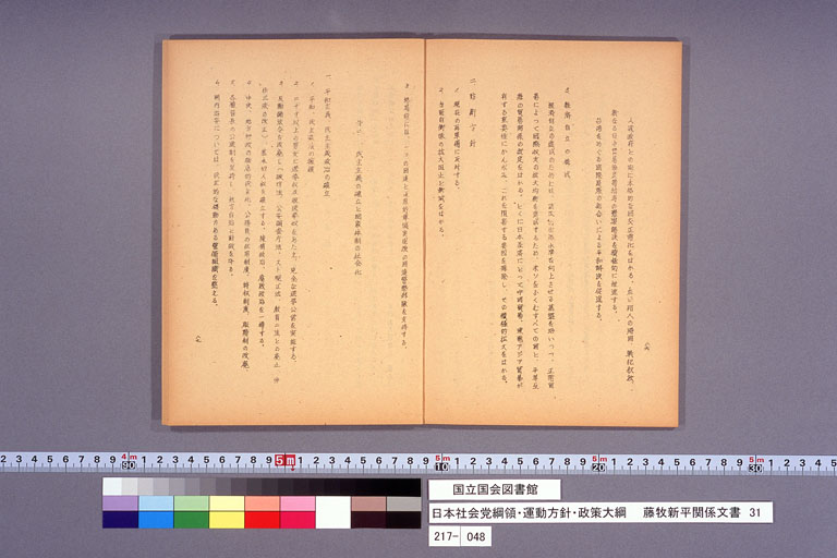 日本社会党綱領・運動方針・政策大綱 (標準画像)