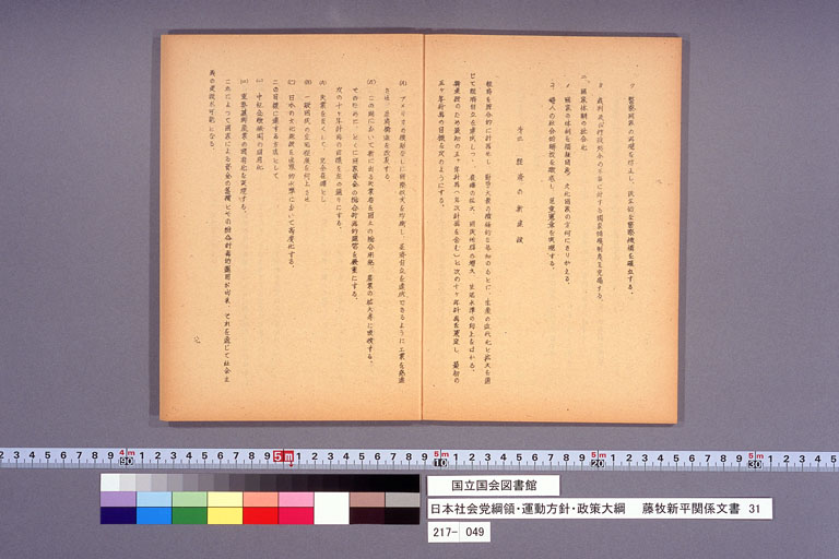 日本社会党綱領・運動方針・政策大綱 (標準画像)