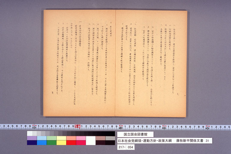 日本社会党綱領・運動方針・政策大綱 (標準画像)