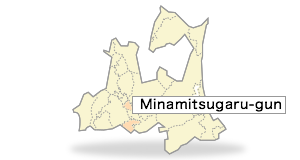 Minamitsugaru-gun