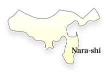 Nara-shi