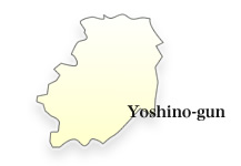 Yoshino-gun